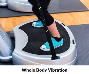 Whole Body Vibration machine.